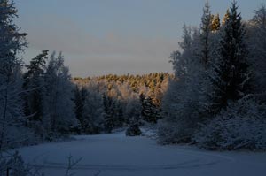 Solnedgång