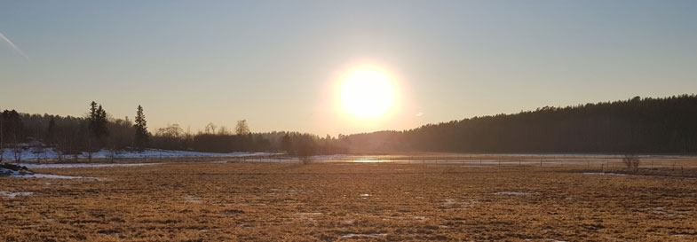 Solnedgång över Punskog