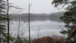 Gråväder