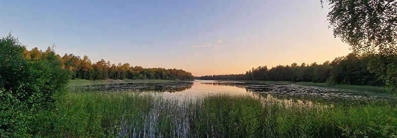 Långsjön