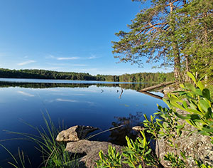 Långsjön