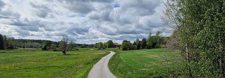 Försommarlandskap